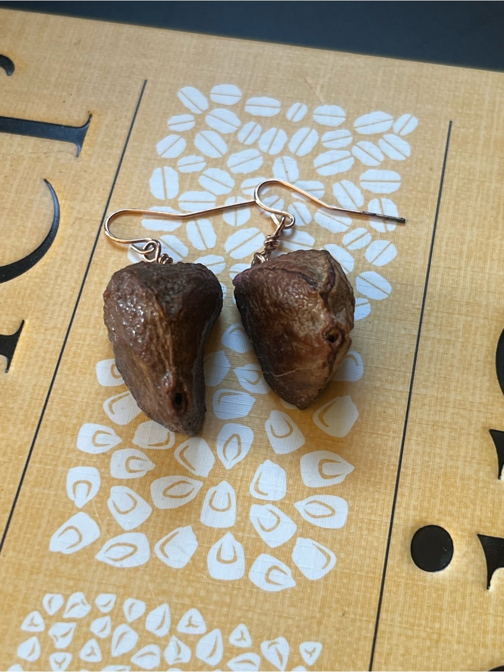 Handcrafted Brazil nut Seed Pod Dangle Earrings